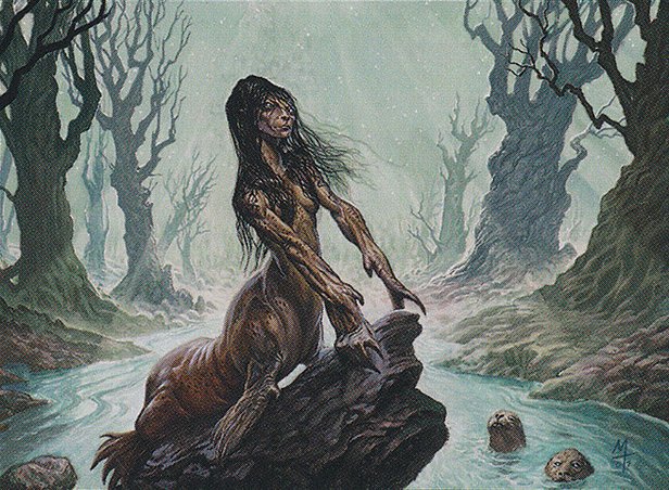 Wistful Selkie
