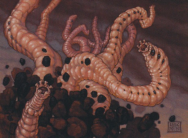 Worm Harvest