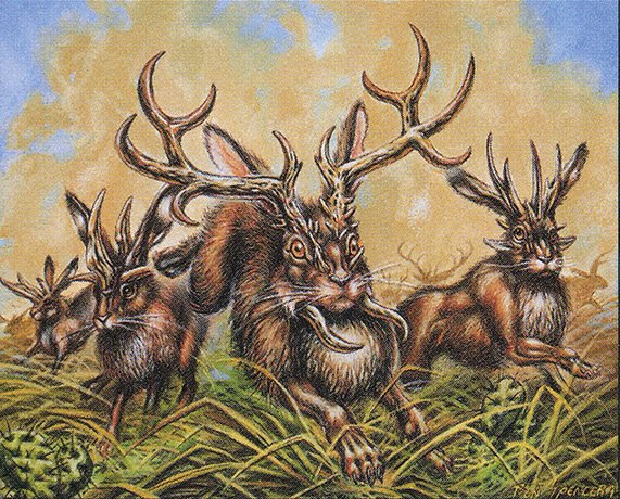 Jackalope Herd