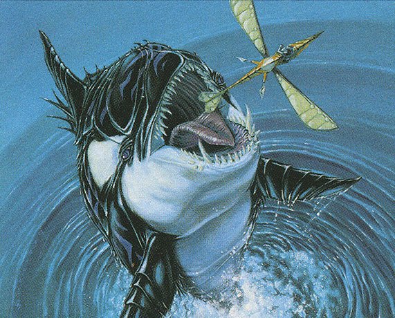 Killer Whale