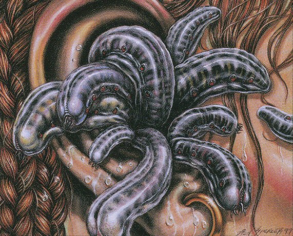 Mind Maggots
