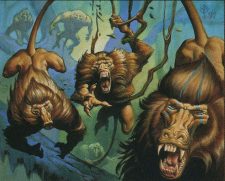 Ravenous Baboons
