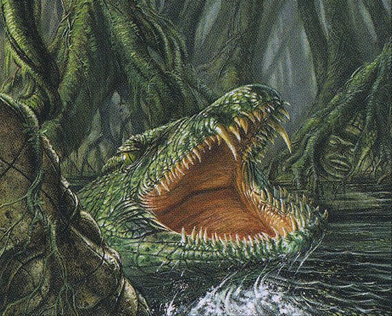 Rootwater Alligator