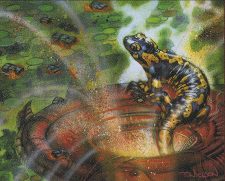 Scalding Salamander
