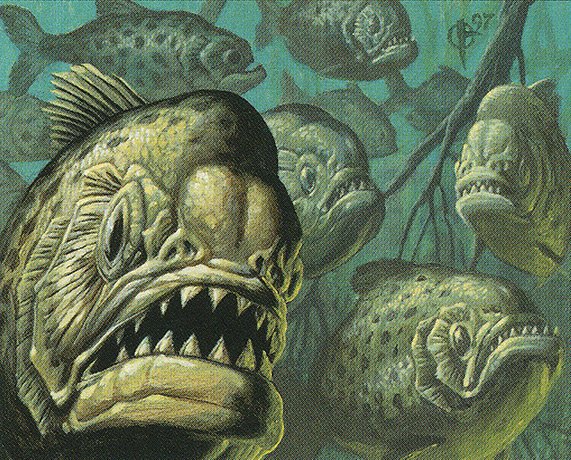 School of Piranha