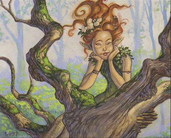 Song of Serenity