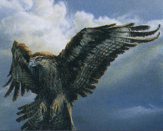 Welkin Hawk