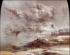 Fetid Heath