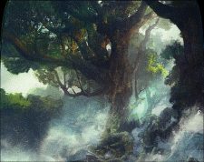 Flooded Grove