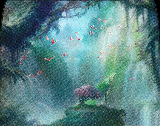 Misty Rainforest