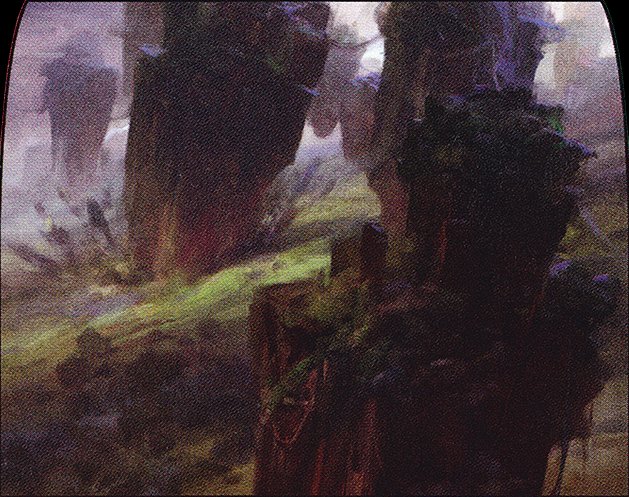 Stomping Ground