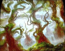 Wooded Foothills