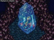 Nature’s Claim