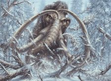 Aggressive Mammoth