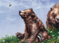 Bear Cub