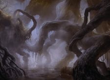 Dismal Backwater