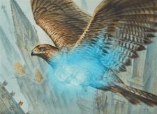 Healer’s Hawk