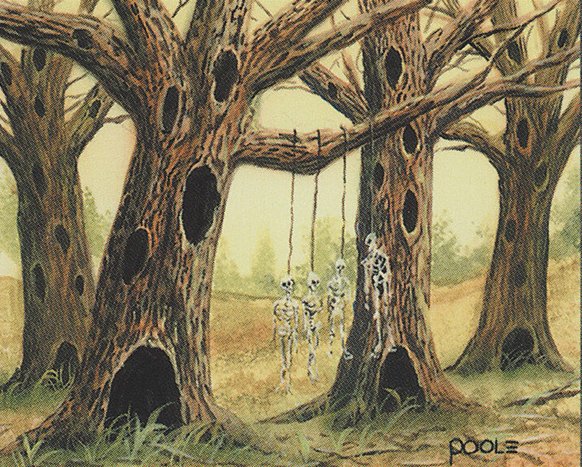 Havenwood Battleground