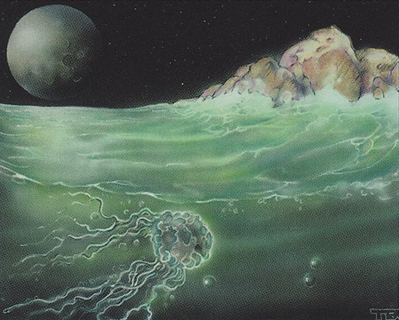 Tidal Influence