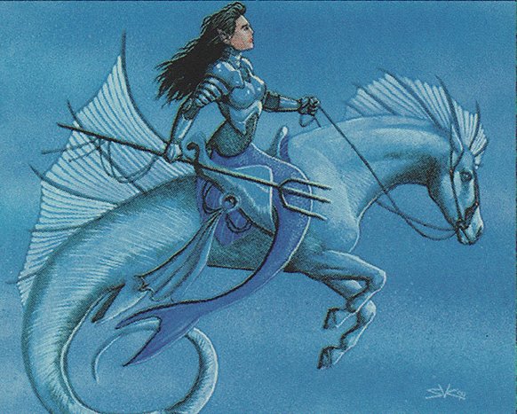 Vodalian Knights
