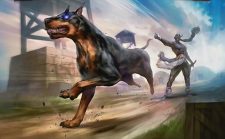 Interceptor, Shadow’s Hound