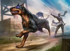 Interceptor, Shadow’s Hound