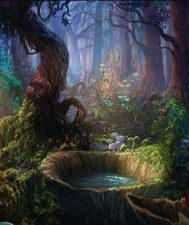 Forest