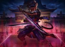 Ninja’s Blades