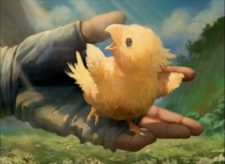 Sazh’s Chocobo