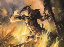 Ainok Guide