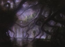 Dismal Backwater