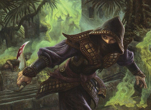 Hooded Assassin