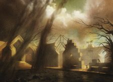 Swamp