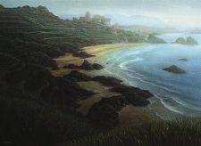 Tranquil Cove