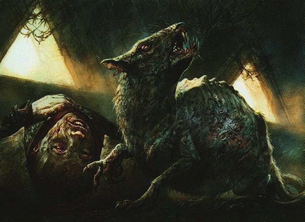 Typhoid Rats