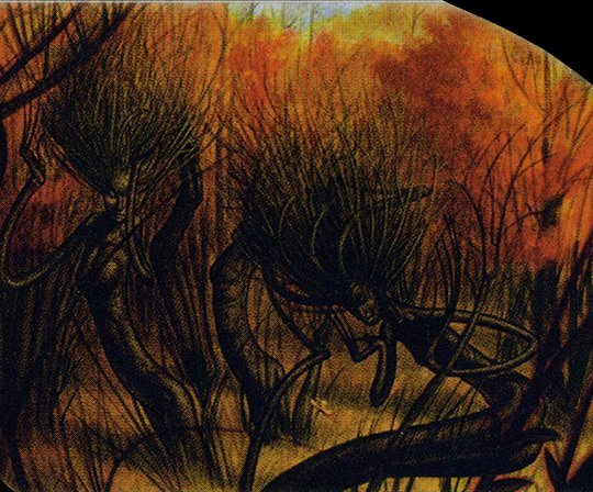 Dryad Arbor