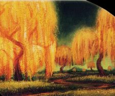 Grove of the Burnwillows