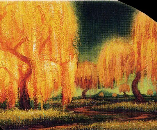 Grove of the Burnwillows