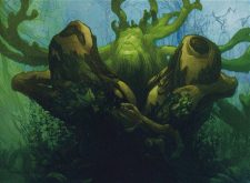 Heartwood Storyteller