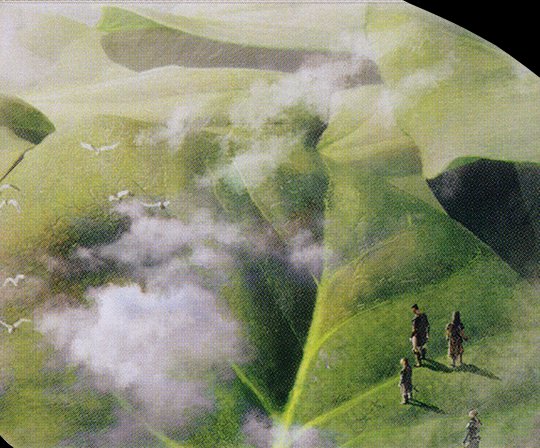 Horizon Canopy
