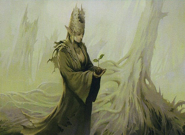 Llanowar Augur