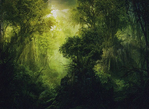 Llanowar Reborn