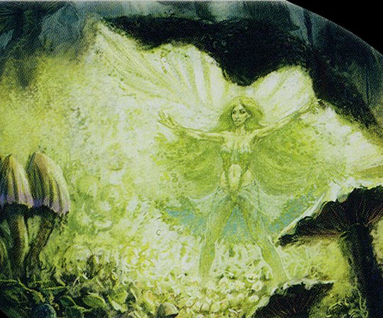Phosphorescent Feast