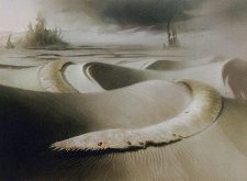 Saltskitter