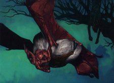 Blind Hunter