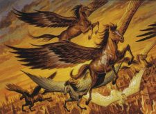 Storm Herd
