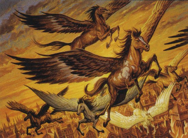 Storm Herd