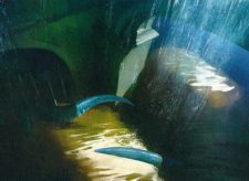 Drowned Secrets