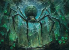 Hatchery Spider
