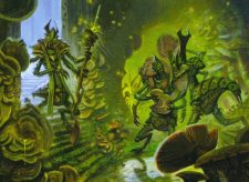 Kraul Foragers